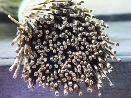 The branch are package and closeup view