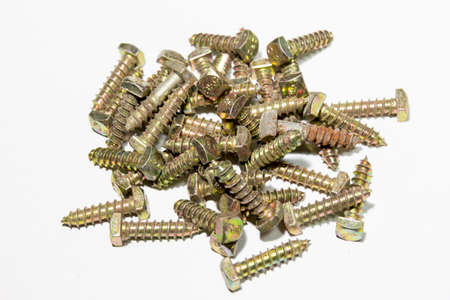 Gold screw on white background  