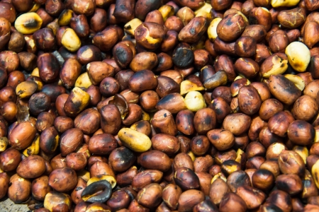 peanuts are roasted use is a garnish .の写真素材