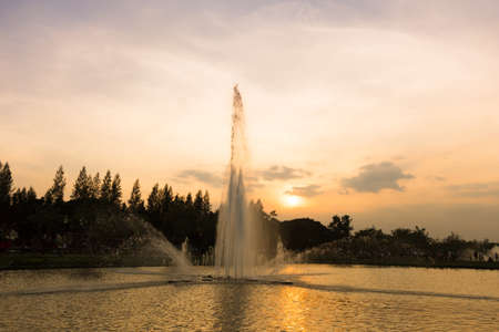 Fountain on the sunset shade background  の写真素材