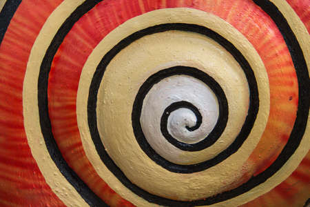 spiral of shellfish statue textureの写真素材