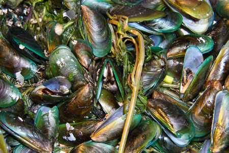 Green Mussels with spices