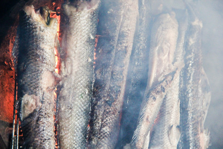 Striped snakehead fish for grill .
