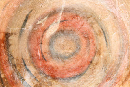 Wood textureの写真素材