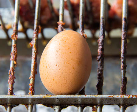 Grill eggsの写真素材