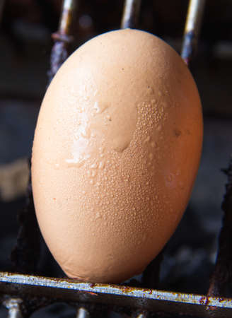 Grill eggsの写真素材