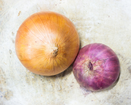 Two onionsの写真素材