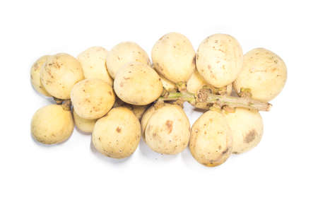 Wollongong on the isolatedの写真素材