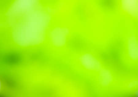 Background of colorful green bokehの写真素材