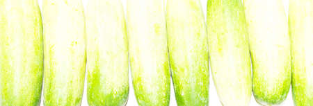 Skin cucumbersの写真素材