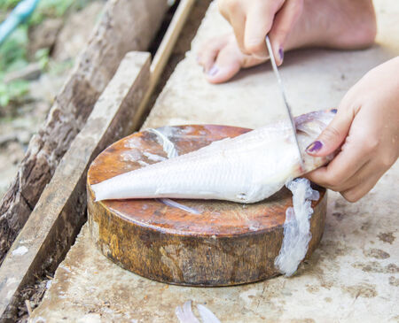 Woman hands Sliced fish on the wooden blockの写真素材