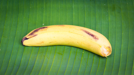 Close up bananas on the banana leavesの写真素材