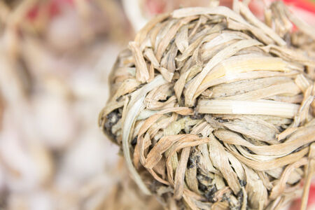 A bunch of garlicの写真素材