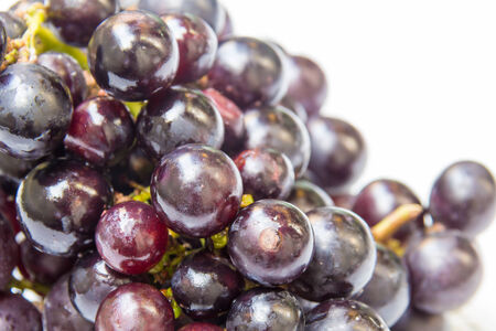 Grapes fruitの写真素材