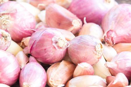 Close up Onions backgroundの写真素材