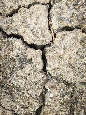 Dry and crack soil texture