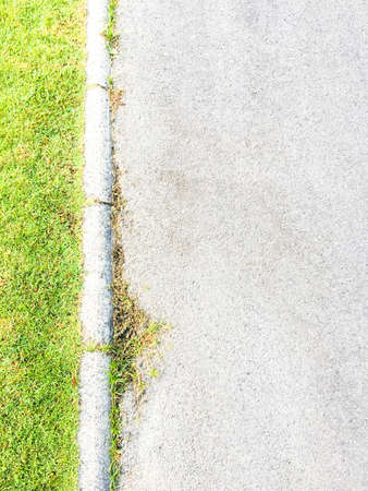 Grass in side road background