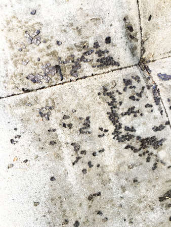 Cracked and dirty  concrete textureの写真素材