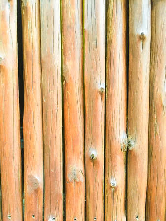 Timber textureの写真素材
