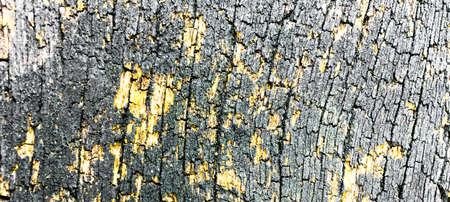 old wood textureの写真素材