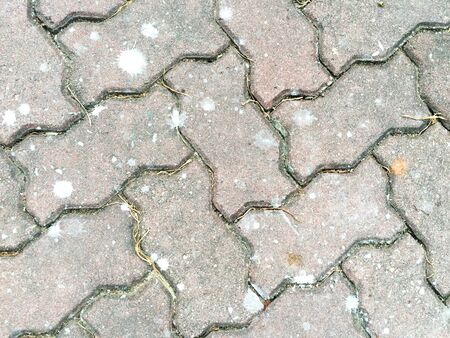 Concrete texture with worm stoneの写真素材