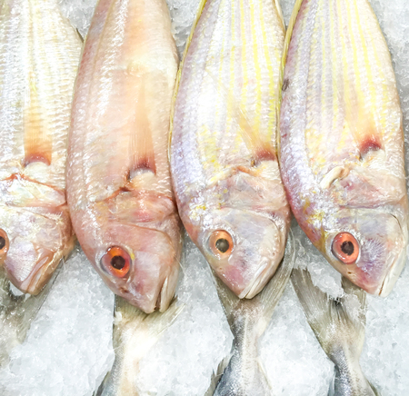 Raw head fish for cooking dinner