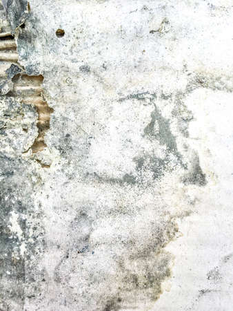 crack and old wood