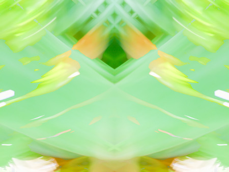 Abstract green nature concept backgroundの写真素材