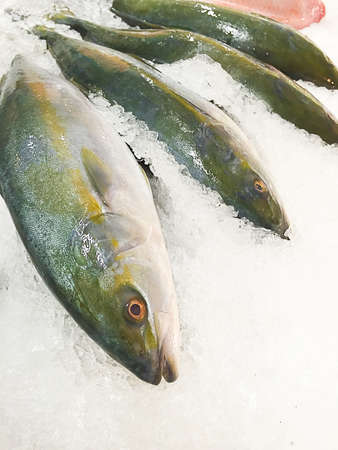 Raw fish on the iceの写真素材