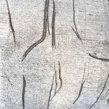 old wood texture with scratched