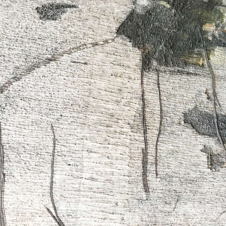 old wood texture with scratchedの写真素材