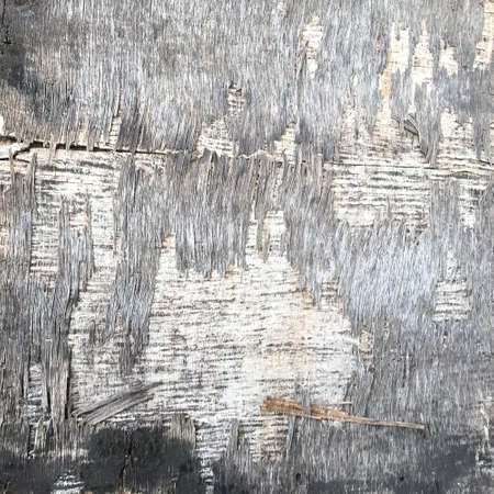 old wood textureの写真素材