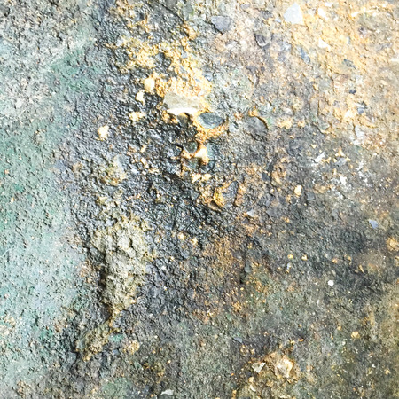 Wet and moist cement floor with the lichen