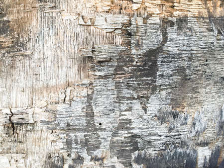 old wood textureの写真素材