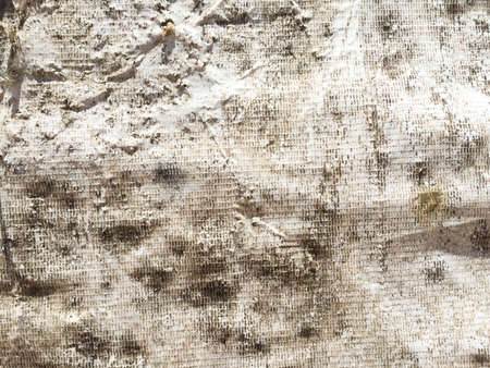 Grunge old dirty crack stain on the white  backgroundの写真素材