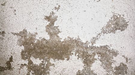 Grunge wall cement texture backgroundの写真素材