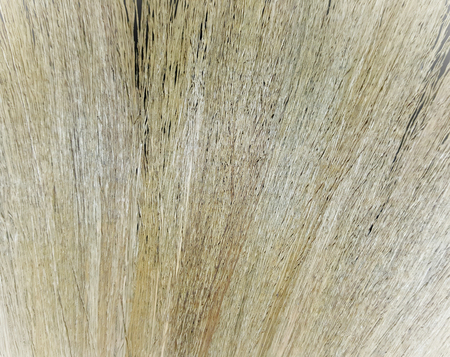 Broom backgroundの写真素材