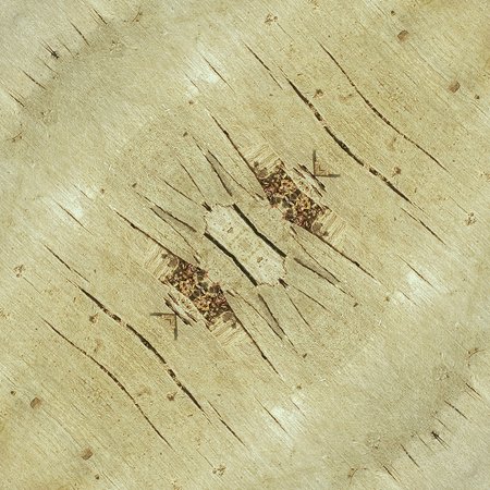 scratch and dirty stain on the wood textureの写真素材