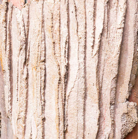 Wave cement texture of wallの写真素材