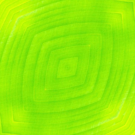 Green banana leaves texture