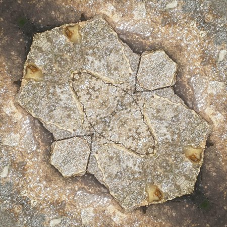 crack and moist on the concrete floor textureの写真素材