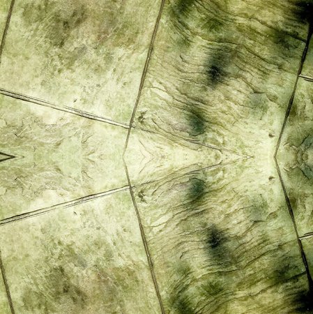 Cement floor texture