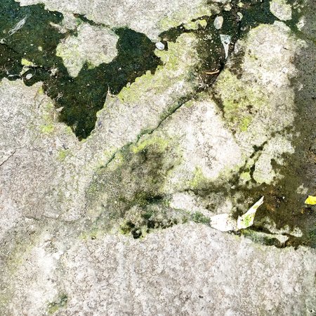 Wet and moist cement floor with the lichenの写真素材