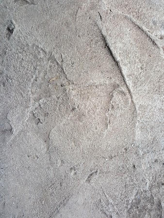 concrete textureの写真素材