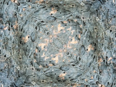 rough crack stone texture backgroundの写真素材