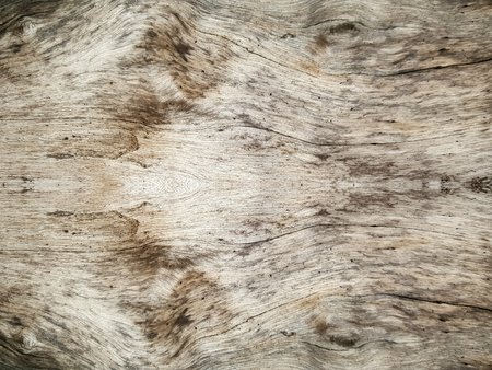 grunge crack wood texture backgroundの写真素材