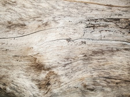grunge crack wood texture backgroundの写真素材
