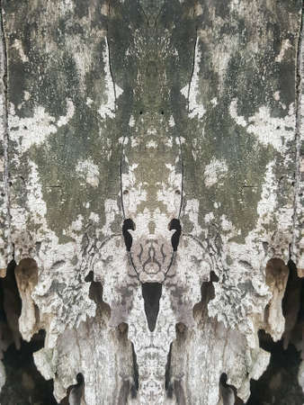 grunge old tree wood texture background