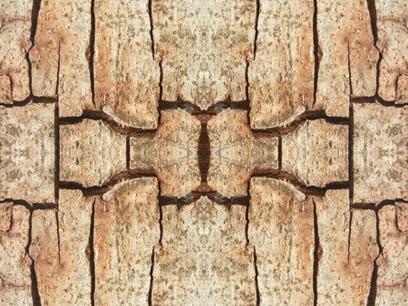 grunge and crack tree texture background
