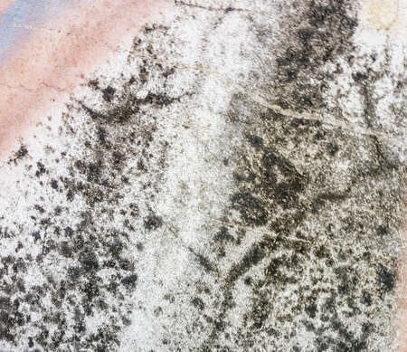 dirty spot stain on concrete texture backgroundの写真素材
